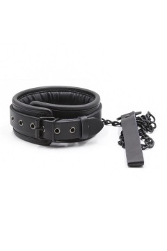 Collars / FUKR Thick Collar + Lead
