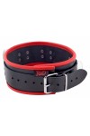 Collars / The Red Leather Necklace - 3 D-rings