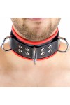 Collars / The Red Leather Necklace - 3 D-rings