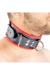 Collars / The Red Leather Necklace - 3 D-rings