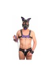 Accessories / The Red Leather leash with handle 1m