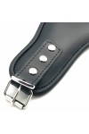 Collars / The Red Leather holding collar