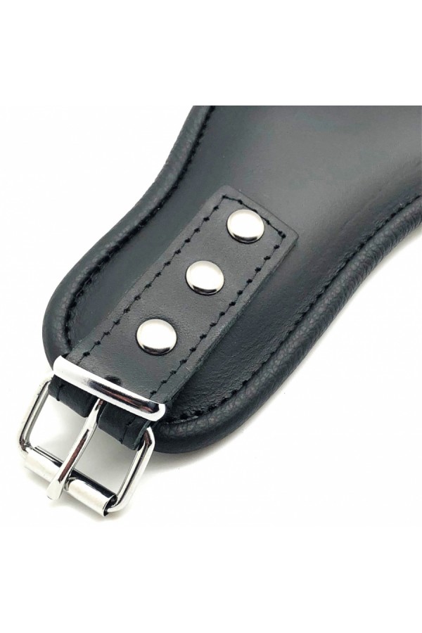 Collars / The Red Leather holding collar