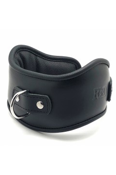 Collars / The Red Leather holding collar