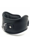 Collars / The Red Leather holding collar