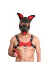 Accessories / The Red Puppy Leather Bone