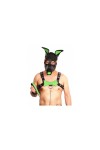 Accessories / The Red Puppy Leather Bone