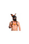 Accessories / The Red Puppy Leather Bone