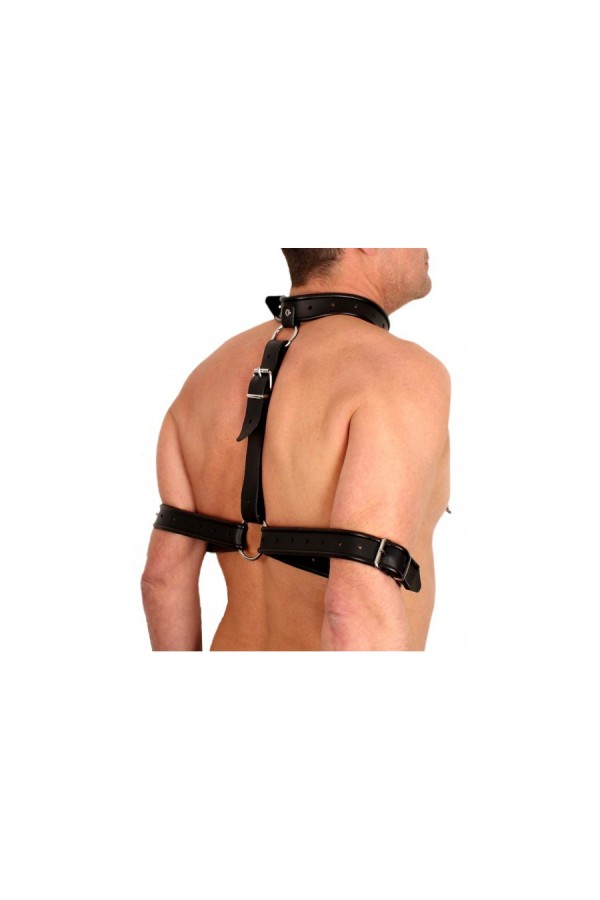 Suspension / The Red Arm bondage collar