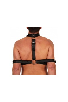 Suspension / The Red Arm bondage collar
