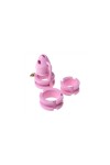 Chastity / CockLock Birdlocked Chastity Cage Silicone