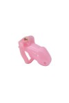 Chastity / CockLock Hide Lock Male Chastity Device