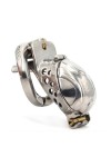 Chastity / CockLock Double Endy chastity cage