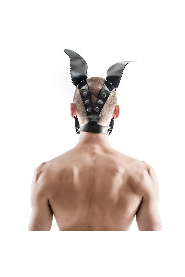 Hoods / Mister B FETCH Rubber Dog Hood