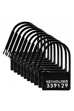 Chastity / Master Series 10 Spare Plastic Locks - black
