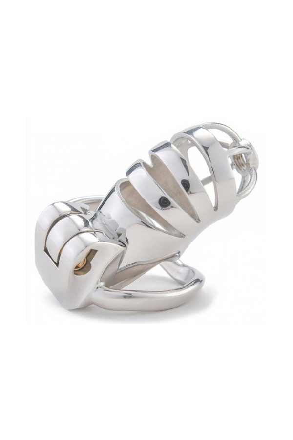 Chastity / CockLock Bird Up Metal Chastity Cage