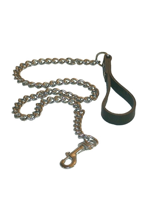 Accessories / Mister B Dogleash with chain