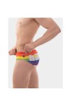 Gifts and Pride, Fürdőnadrágok / Barcode Berlin Rainbow swimwear