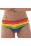 Gifts and Pride, Fürdőnadrágok / Barcode Berlin Rainbow swimwear
