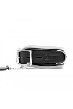 Collars / Brutus Leather Collar Collars / Brutus Leather Collar