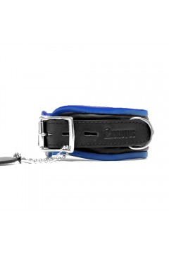 Collars / Brutus Leather Collar