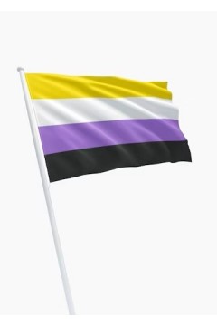 Flags / Mister B Non-binary Flag