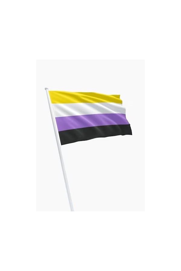 Zászlók / Mister B Non-binary zászló
