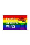 Flags / Generic Rainbow Love Always Wins Flag