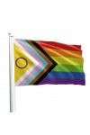 Flags / Mister B Intersex Progress Pride Flag