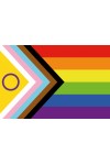Flags / Mister B Intersex Progress Pride Flag