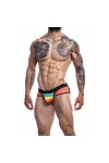 Gifts and Pride, Jocks and Underwear / CUT4MEN Jockstrap Mixed Rainbow