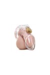 Chastity / Cockpik Transparent chastity cage