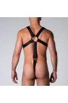 Harnesses / 665 Neoprene Full Harness