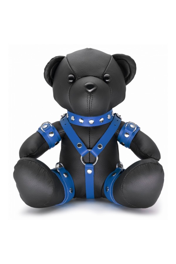 Gifts and Pride / The Red Bendy The BDSM Bear