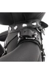 Gifts and Pride / The Red Bendy The BDSM Bear
