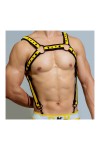 Harnesses / BDSMaster Neo Neoprene Chest Harness