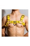 Harnesses / BDSMaster Chest All Harness