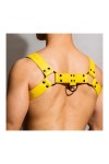 Harnesses / BDSMaster Chest All Harness