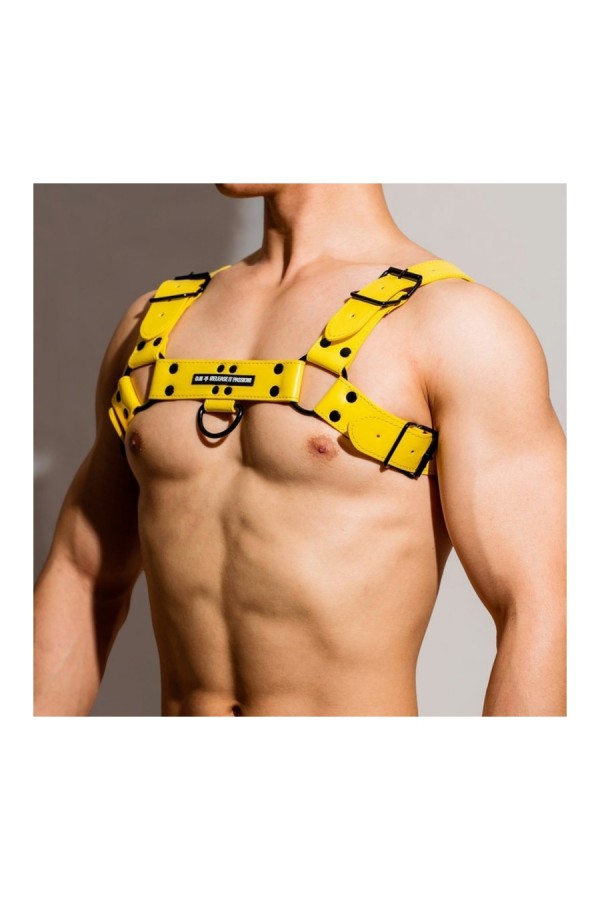 Harnessek / BDSMaster All mellharness