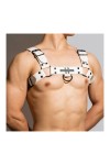 Harnesses / BDSMaster Chest All Harness