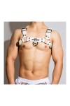 Harnesses / BDSMaster Chest All Harness