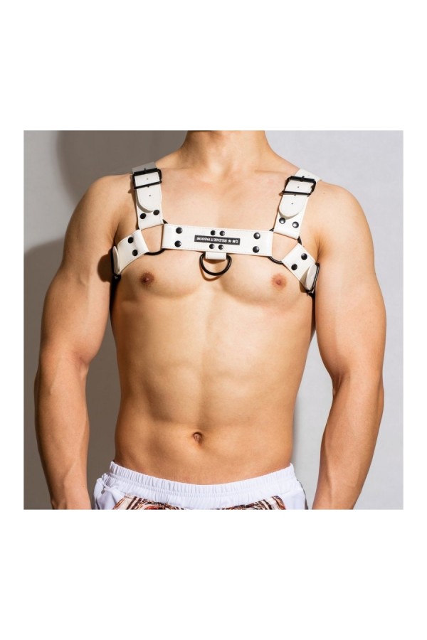Harnesses / BDSMaster Chest All Harness