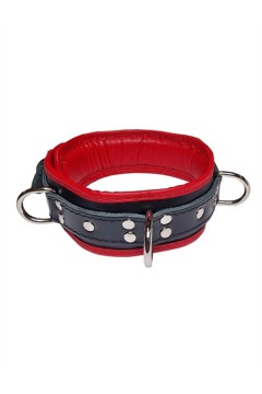 Collars / Mister B Leather Lockable Collar Black