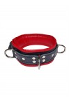 Collars / Mister B Leather Lockable Collar Black