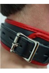 Collars / Mister B Leather Lockable Collar Black