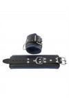 Wrist Restraints / Mister B Leather wrist restraints, color padding