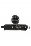 Wrist Restraints / Mister B Leather wrist restraints, color padding