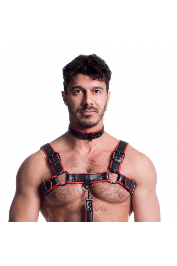 Collars / 665 Vegan Collar