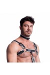 Collars / 665 Vegan Collar