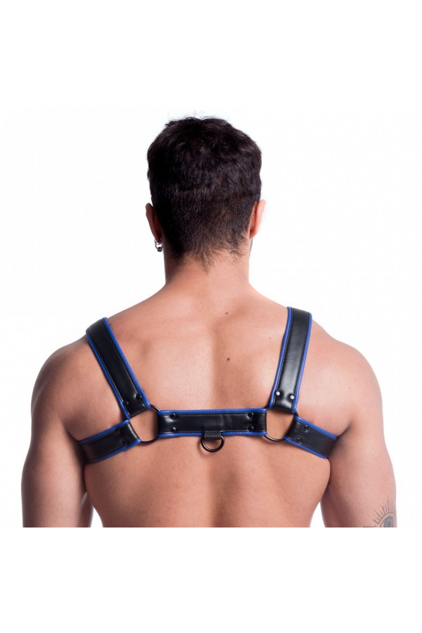 Harnessek / 665 Színes vegán harness kék
